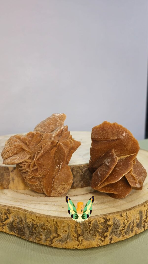 Rosa do Deserto