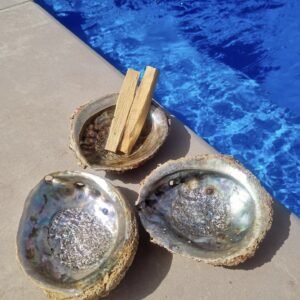 Concha de Abalone